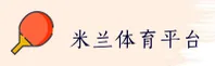 使用指南与常见问题